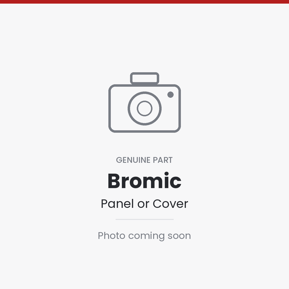 6060526 Bromic Reg Single 250Mj c/w Bracket + 1 C/Pigtail + Adapt