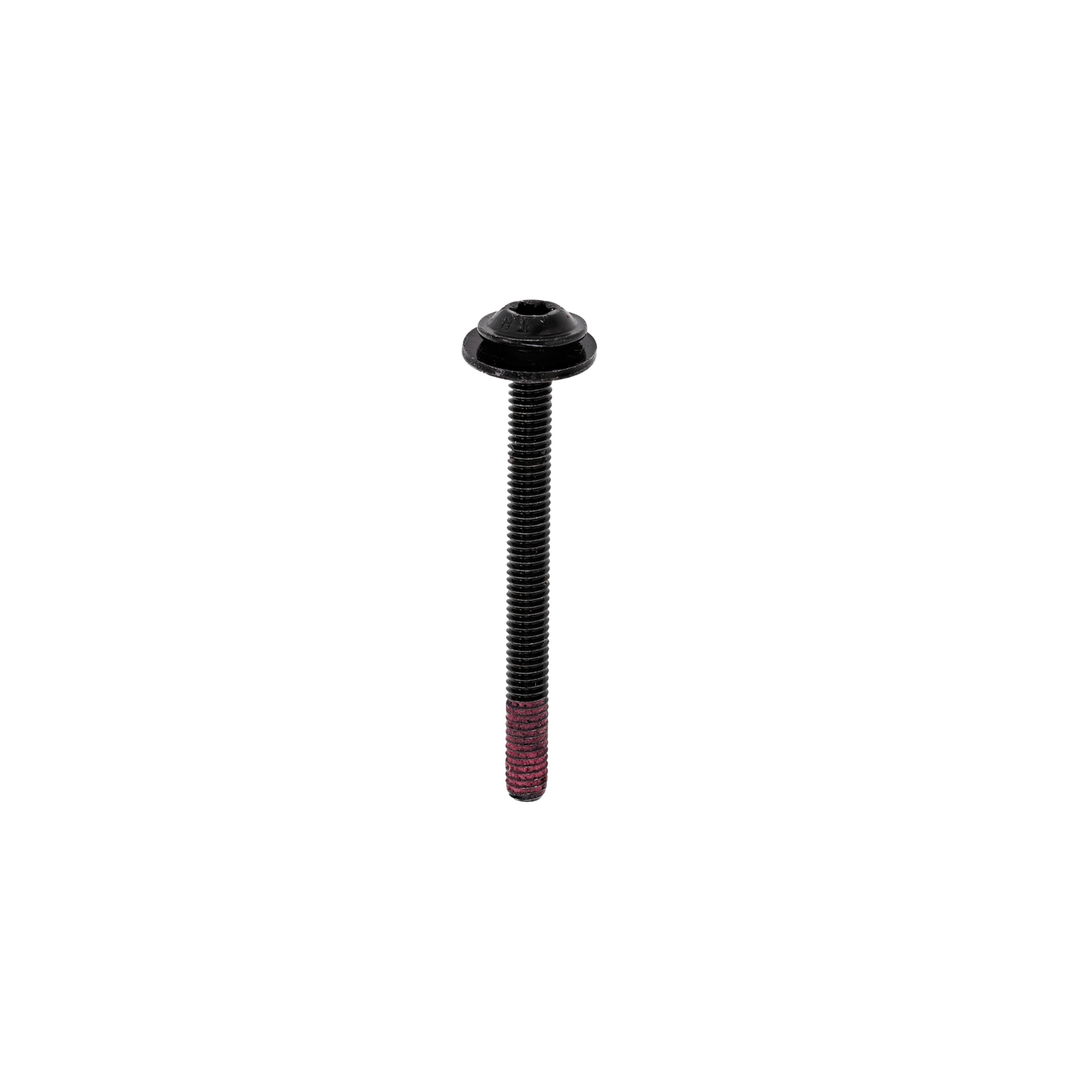 5612311448 Electrolux, Westinghouse Oven Door Screw