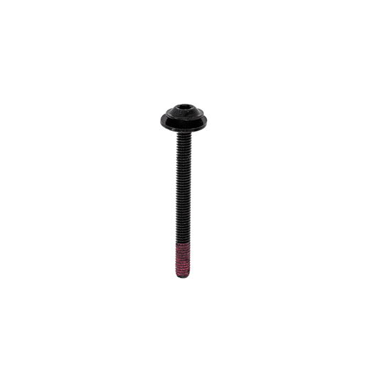 5612311448 Electrolux, Westinghouse Oven Door Screw