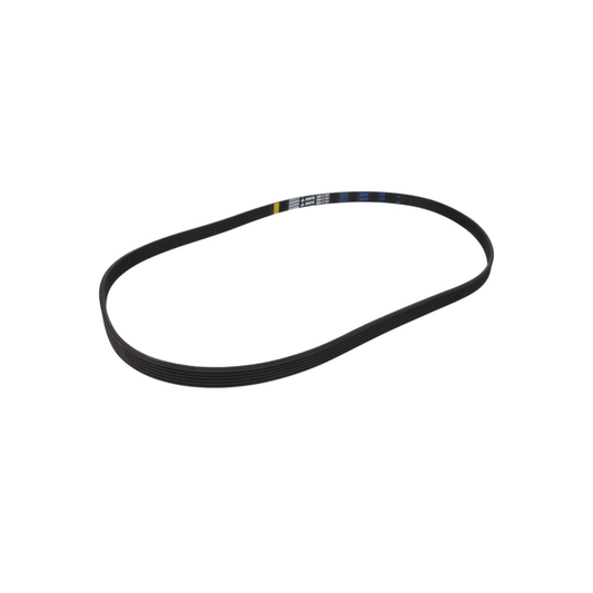 K2025055 Hisense Washing Machine Drive Belt - 6EPJ1161